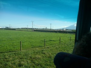 Kapuni South Taranaki