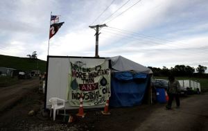 tikorangi occupation 2009