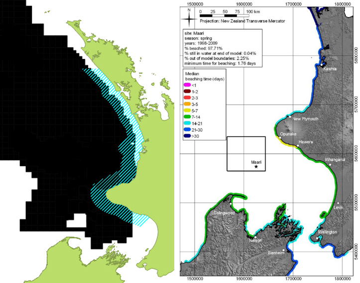 Maui Dolphin IWC protection mining Slooten OMV spill model map corrected
