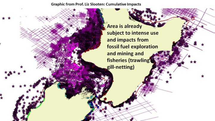 Slooten cumulative effects on marine mammal 2017