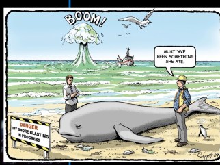 Something she ate Clean Ocean Action